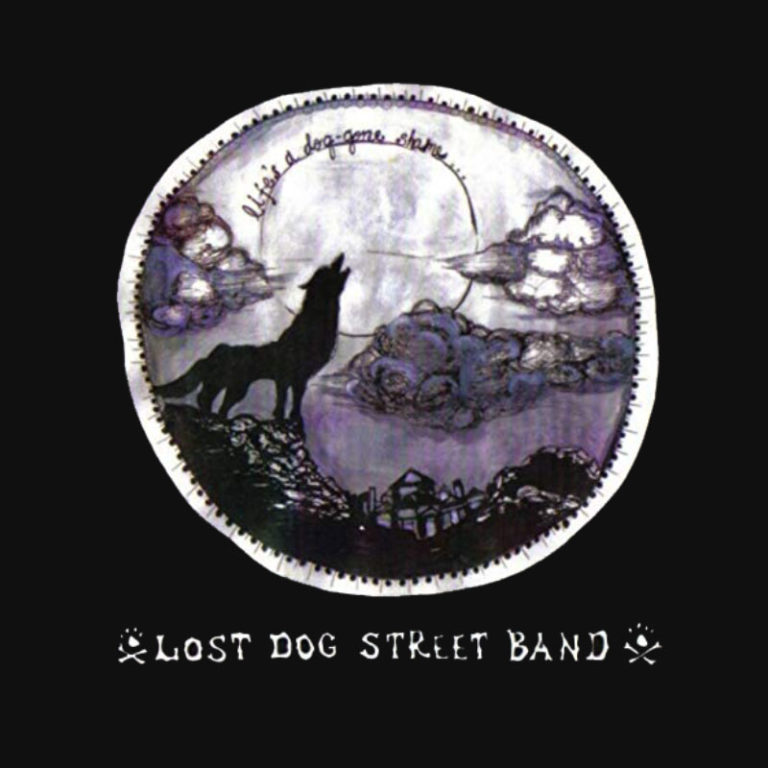 Lost Dog Street Band